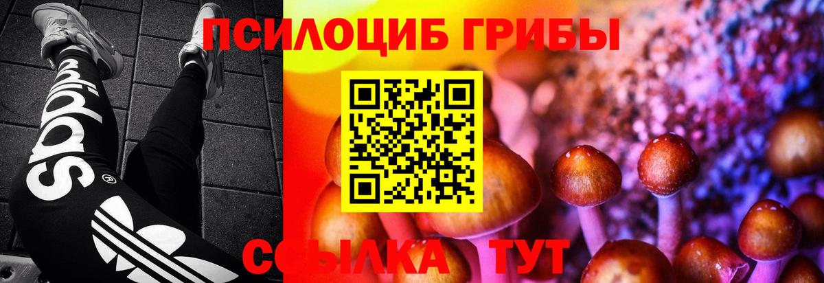 Галлюциногенные грибы Psilocybe  Вход с VPN  Кандалакша 