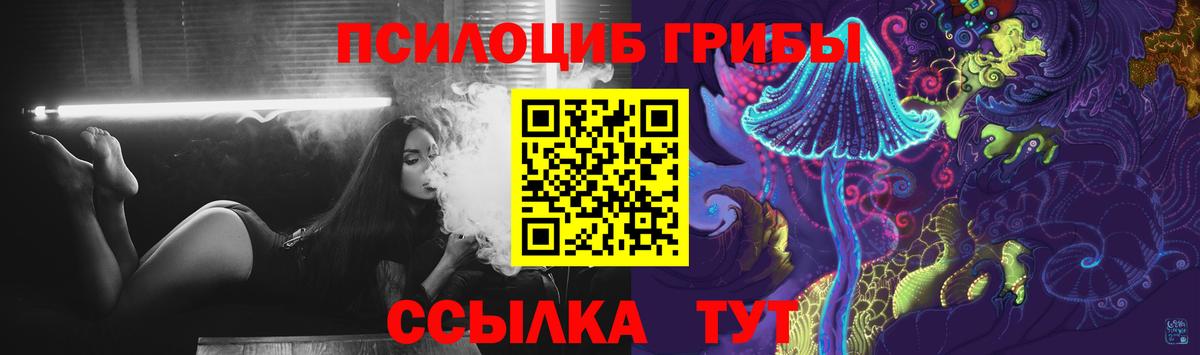 Псилоцибиновые грибы Psilocybine cubensis Кандалакша